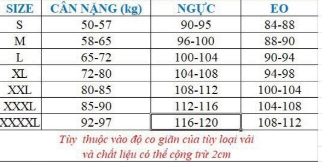 Traditional Vietnamese Ao Dai for Men Dress Premade Embroidered Ao Dai Nam thêu Tet